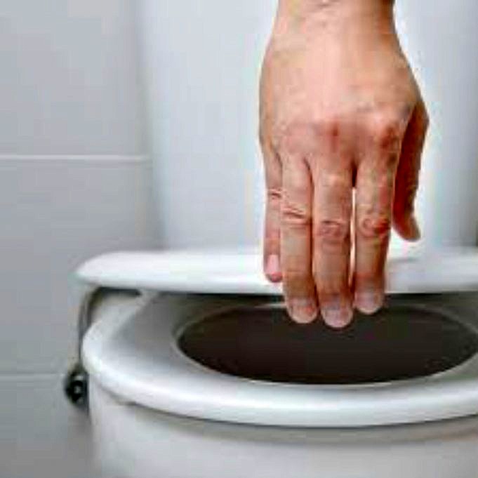 Comment Tirer La Chasse Deau Des Toilettes Sans Eau 1