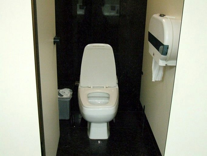 Comment Utiliser Les Cloisons De Salle De Bain Dans Les Toilettes Domestiques Et Commerciales