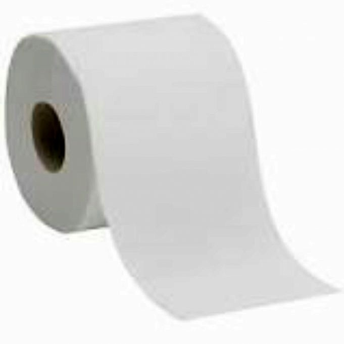 Est il Possible Dutiliser Du Papier Toilette Avec Des Toilettes a Compost